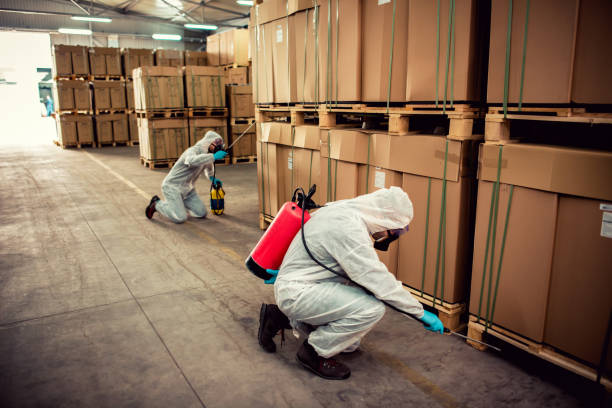 Pest Prevention Services in Flower Hill, NY