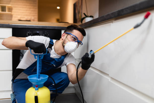 Best Best Pest Control Companies  in Flower Hill, NY