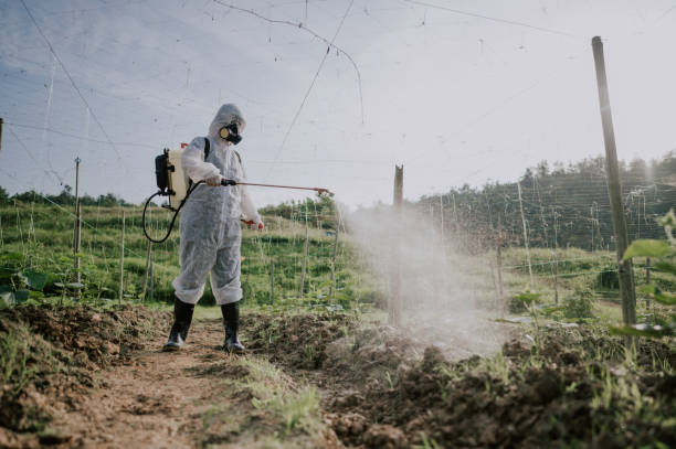 Best Termite Control Services  in Flower Hill, NY