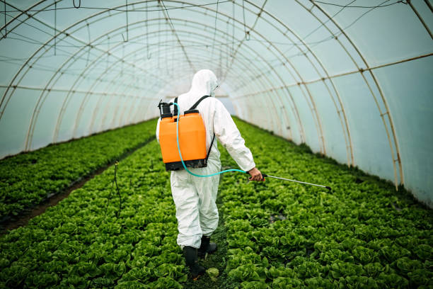 Best Commercial Pest Control Services  in Flower Hill, NY