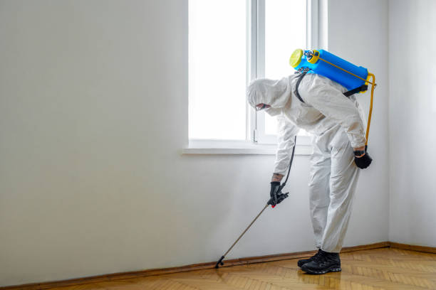 Best Flea Control Services  in Flower Hill, NY