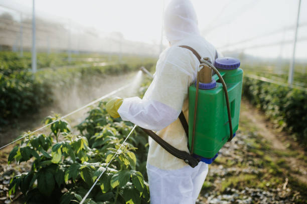 Best Residential Pest Control  in Flower Hill, NY